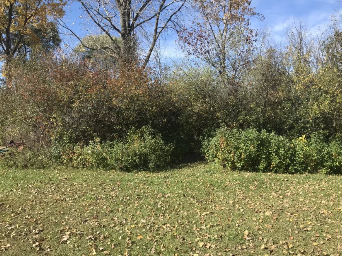 DNR surplus properties for sale at auction now through midJune